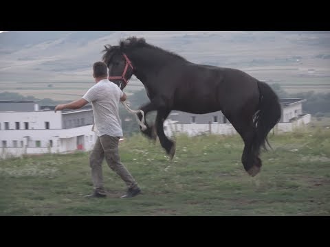 Manji Floresti, Cluj  10 august 2017