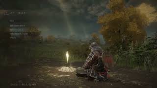 【ELDENRING】pc版キャラ作ります　白誰でも募集