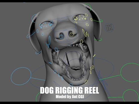 Dog Rig - Demo Reel