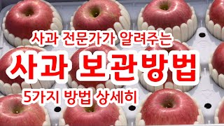 사과 보관방법 5가지 사과 저장방법