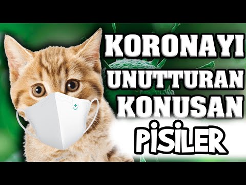 Koronayı Unutturacak Konuşan Pisiler