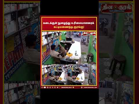 கடைக்குள் நுழைந்து உரிமையாளரைக் கட்டியணைத்த குரங்கு! monkeyloves