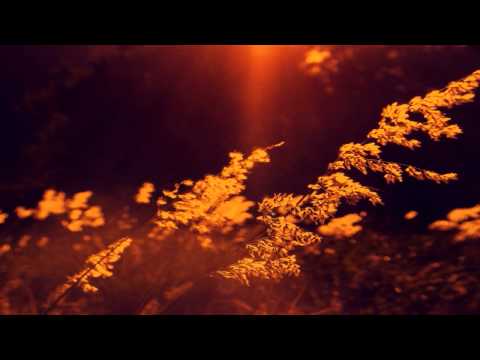 Mojo - Garden Walls (feat. Farisha)