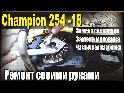 Бензопила Champion 254 Частичсная разборка бензопилы