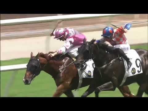 5/6/2022 (724) Gang Of Brothers - Z Purton