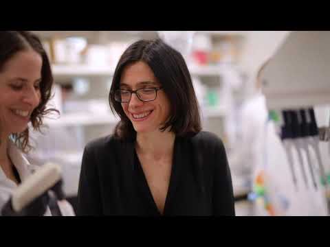 About Dr. Aviv Regev