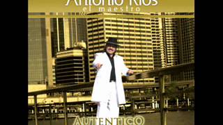 Yo Te Amo Lyrics English Translation