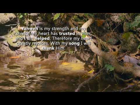 Songs and Scripture // Daystar Reflections