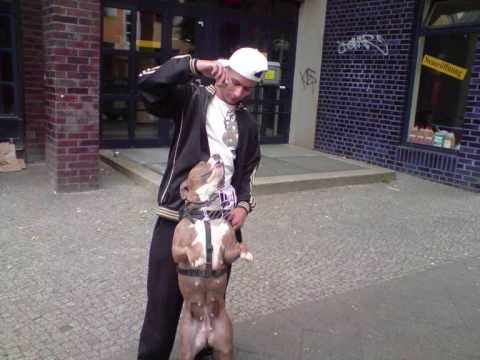 seco0ne ft. yusuf65 ghettosymphonie