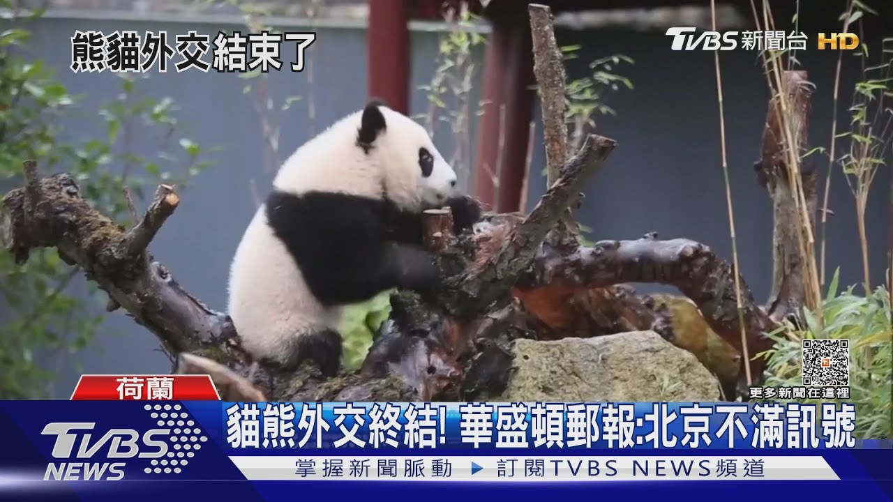 「貓熊外交」終結! 習近平:中國的路不會一馬平川