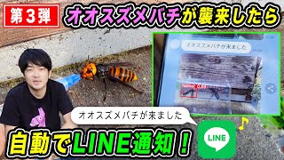 【スマート養蜂Part3】AIでオオスズメバチを認識してLINEで通知してくれるシステムを作ってみた！
