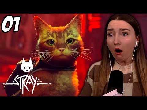 My FIRST Time Playing Stray & I'm Already Crying ~ Part 1