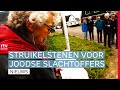 Struikelstenen gelegd in Dwingeloo & zwembad Gieten lek | Drenthe Nu