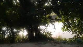 preview picture of video 'रोहिनी/रोहिणी नदी यात्रा / on the bank of rohini river.'