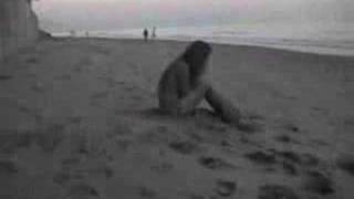 Maple Leafs By Lisa Lavie