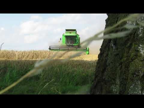 Dreschen || Weizen || Gerste || Gopro || Canon || Deutz+Reisch