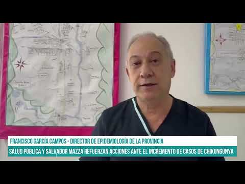 SALTA - Salud Pública y Salvador Mazza refuerzan acciones ante el incremento de casos de Chikungunya