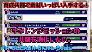 #14 BLEACH Brave Souls【ブレソル】