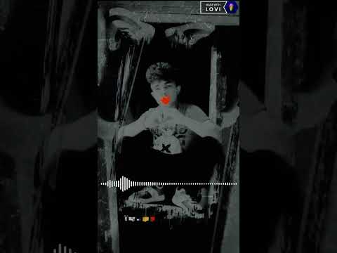 Romano Gipsy Lubko prala miro🥃♥️