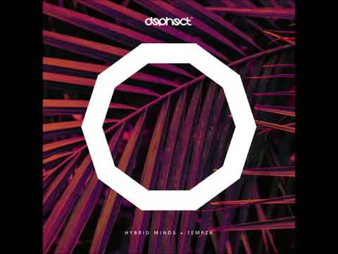 Hybrid Minds & Tempza - 2018 Mix For Dephect