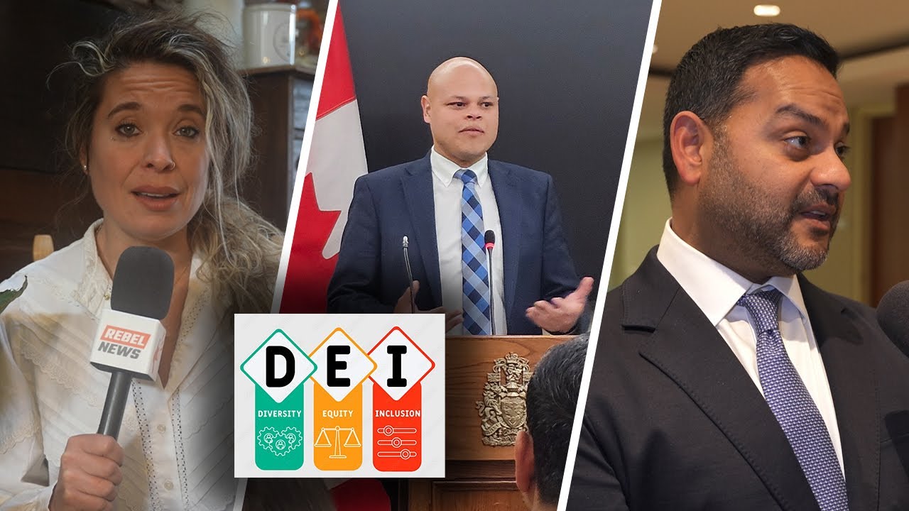 Ending Liberal racism: the consequences of DEI