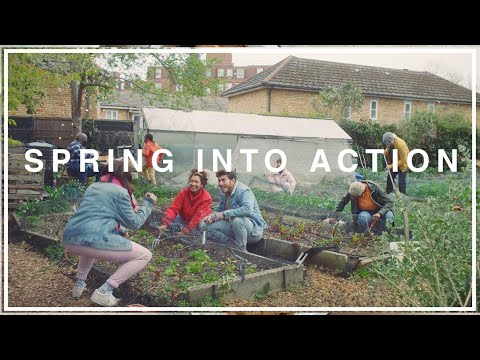Spring Into Action | Hubbub Campaigns