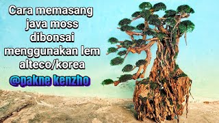 Download lagu #19 cara memasang javamoss diaquascape dengan lem alteco mp3