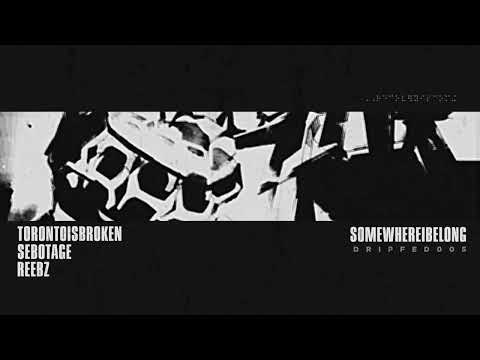 Toronto Is Broken, Sebotage & REEBZ - SOMEWHEREIBELONG [Visualiser]