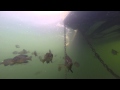 The GoPro HERO 3+ Underwater In Lake Calhoun - Minneapolis 2014
