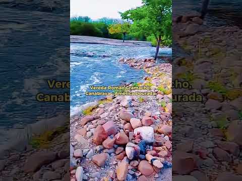 AMERICA DOURADA #bahia #nordeste #roça #chuvas #sertão #fazenda #vidanaroça #irecê #chuva #vereda