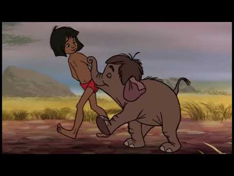 Jungle Boek ¦ Liedje  Kolonel Hatie's Mars ¦ Disney NL