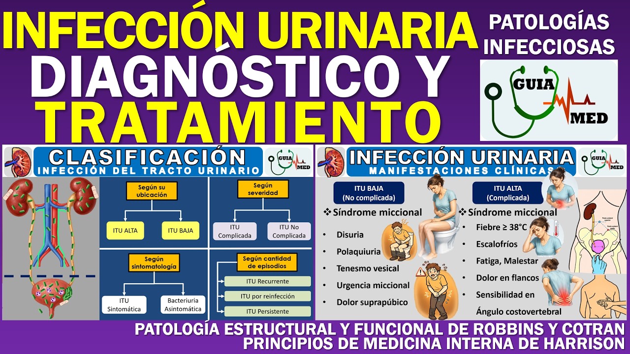 INFECCIÓN URINARIA EN LA MUJER SÍNTOMAS Y TRATAMIENTO | GuiaMed