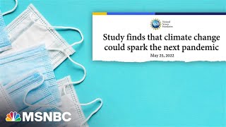 Red Alert: the dangers of record heat on your health