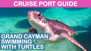 Grand Cayman Cruise Port Guide: Swimming with Turtles (Cayman Turtle Centre)