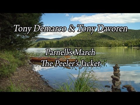 Tony Demarco & Tony Davoren :: Parnell's March; The Peeler's Jacket.