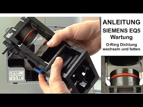 Ein Volksheilmittel für die Behandlung von Prostatitis bei Männern zu Hause Prostata-Massage Video Videos