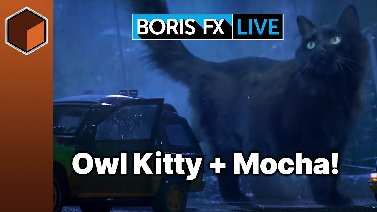 Boris FX Live: Tracking with YouTube's OwlKitty and Mocha