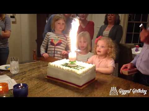 Birthday Cake Lotus Candle