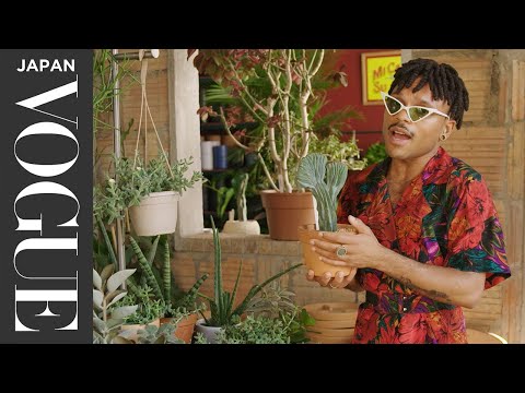 プラント・クイーンが教える、失敗しない観葉植物の選び方。| VOGUE JAPAN