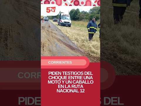 🔴 Motociclista chocó a un caballo: piden testigos