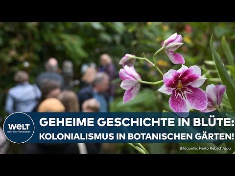 KOLONIALISMUS IN BOTANISCHEN GÄRTEN: Viele Pflanzen hätten eine koloniale Vergangenheit