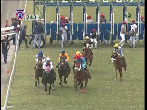 RACE MEETING 24 - 2015