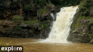 Waimea Falls and Beach Meditation