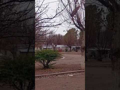 Esta mañana nevó en La Humada, La Pampa.🎥13/06/26 #nevadas #nieve