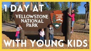Yellowstone National Park with Kids in One Day | Yellowstone NP Top Actractions with Young Children