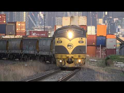 BRILLIANT VINTAGE LOCOMOTIVES hauling Broad Gauge grain trains around Victoria