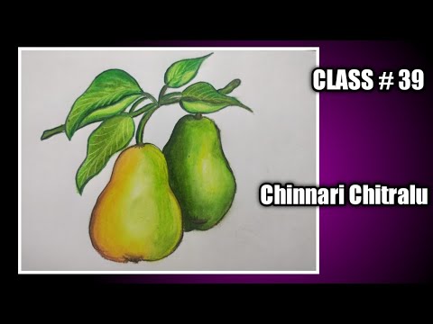 Step by Step Drawing || fruits ||How to draw a Pear