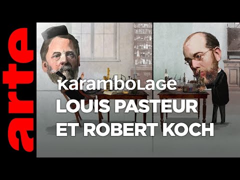 Louis Pasteur et Robert Koch - Karambolage - ARTE