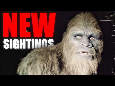 These BIGFOOT SIGHTINGS Will Make You a Believer!