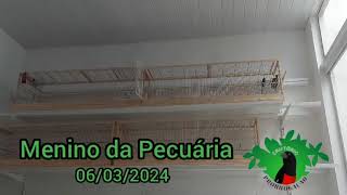 MENINO DA PECUÁRIA - CRIATÓRIO PRORROGAÇÃO